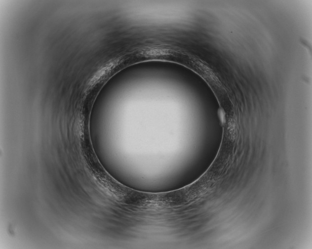 X0000096940732200802151214