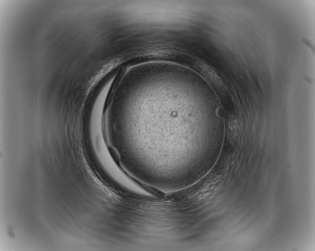 X0000096940734200802151214