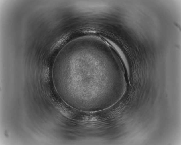X0000096940735200802151214