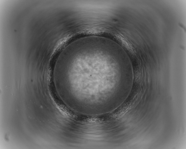 X0000096940736200802151214