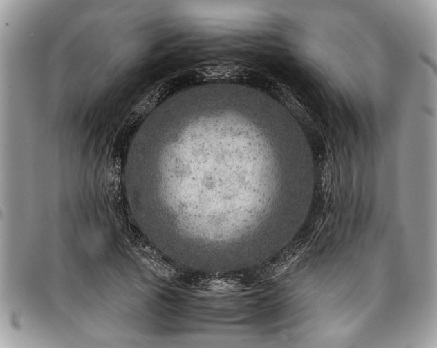 X0000096940737200802151214