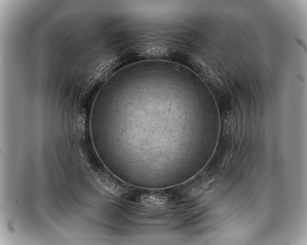 X0000096940739200802151214