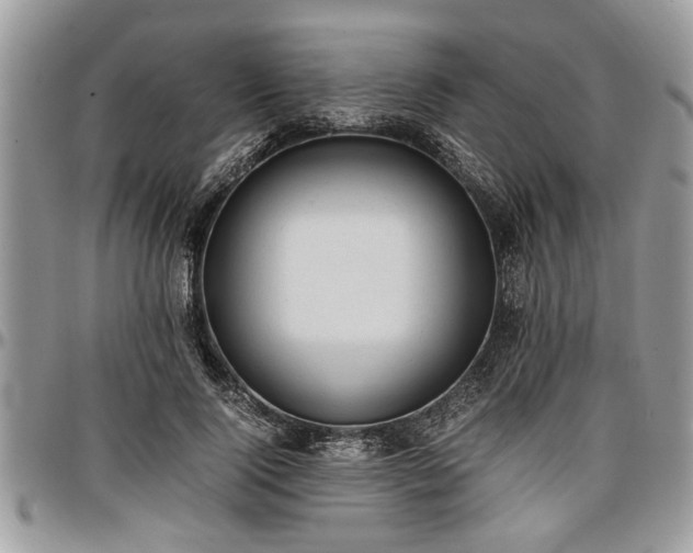 X0000096940740200802151214