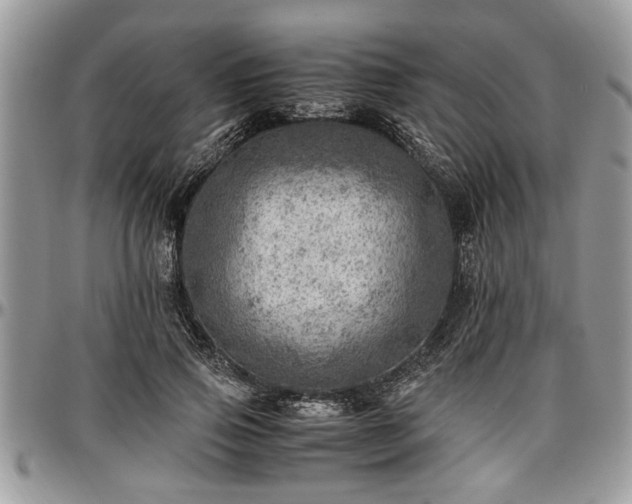 X0000096940741200802151214