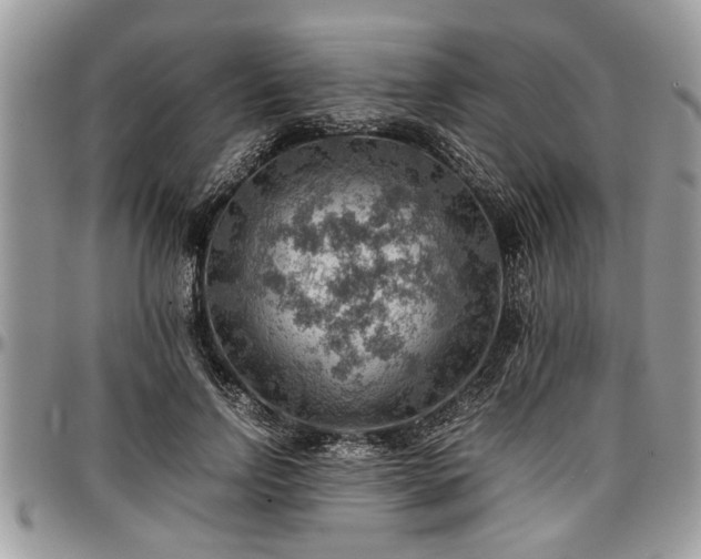 X0000096940742200802151214