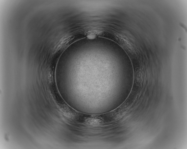 X0000096940743200802151214