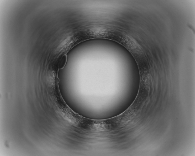 X0000096940744200802151214