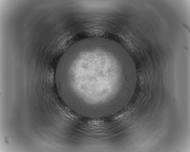 X0000096940745200802151214