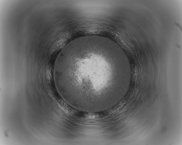 X0000096940746200802151214