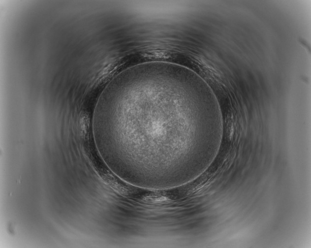 X0000096940747200802151214