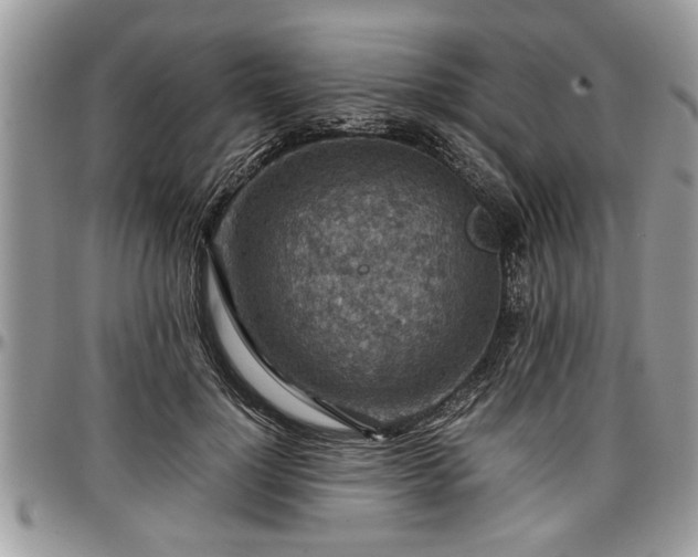 X0000096940748200802151214