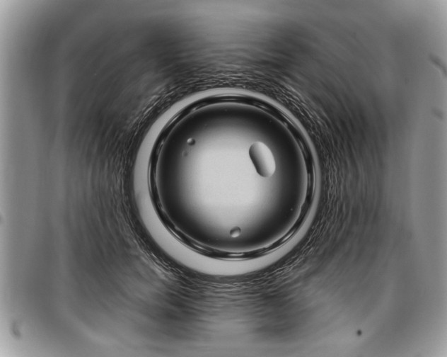 X0000096940750200802151214