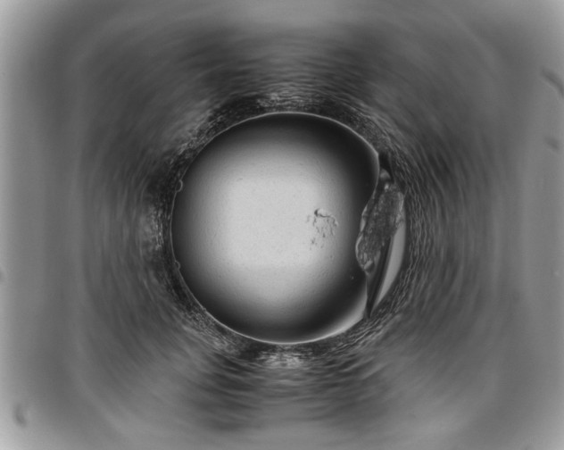 X0000096940751200802151214