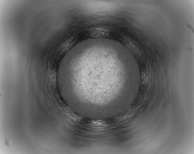 X0000096940753200802151215