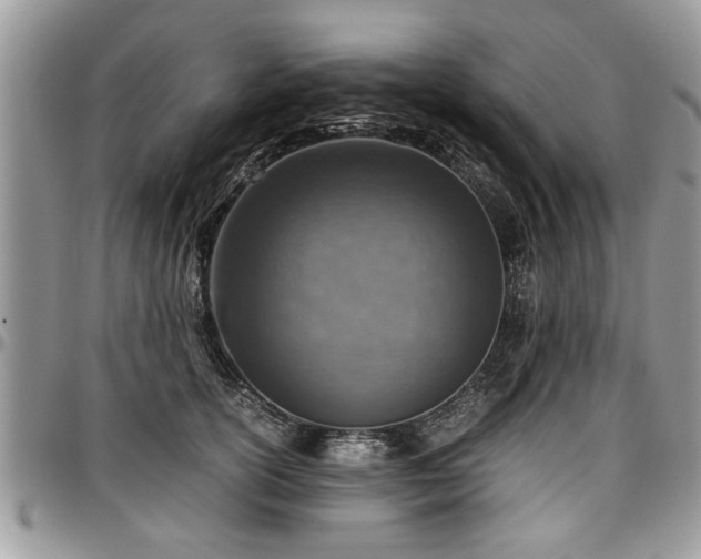 X0000096940754200802151215