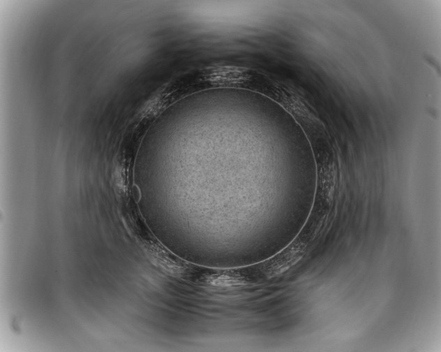 X0000096940755200802151215
