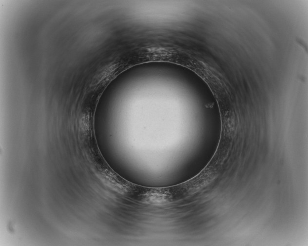 X0000096940756200802151215