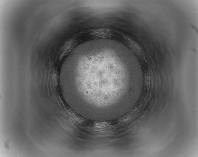X0000096940757200802151215