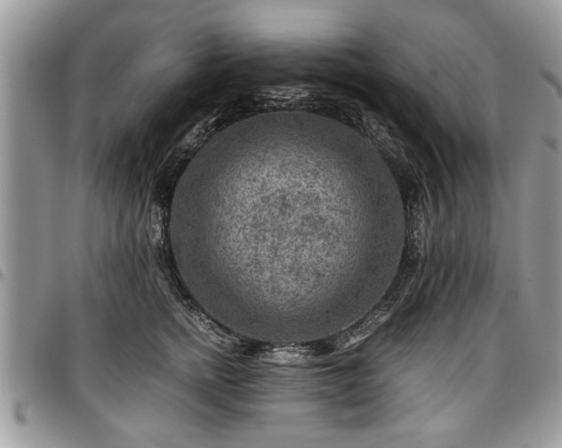 X0000096940758200802151215