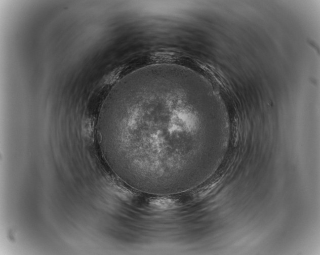 X0000096940759200802151215