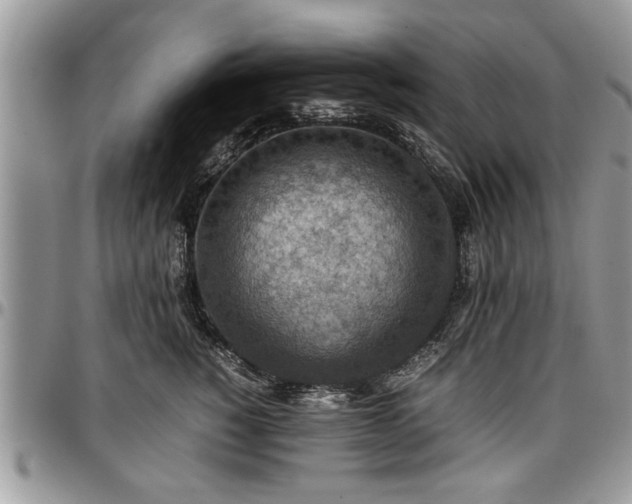 X0000096940760200802151215