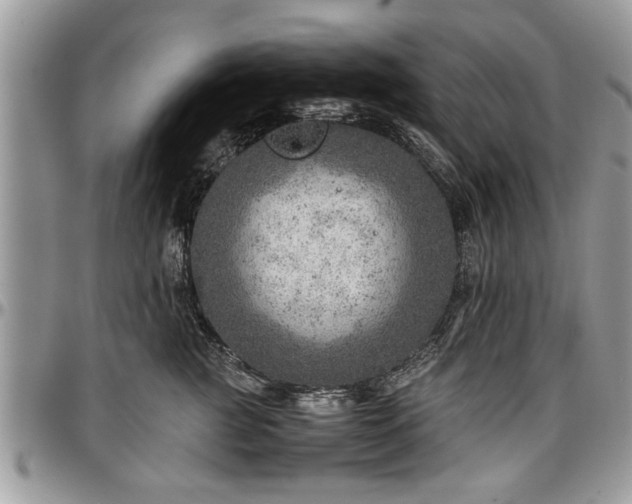 X0000096940761200802151215