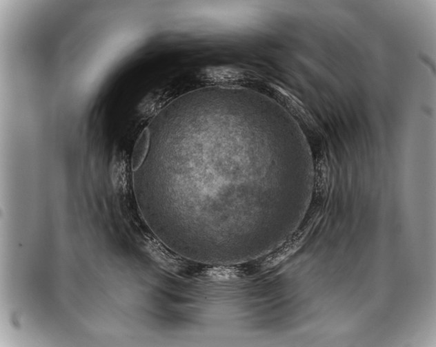 X0000096940762200802151215
