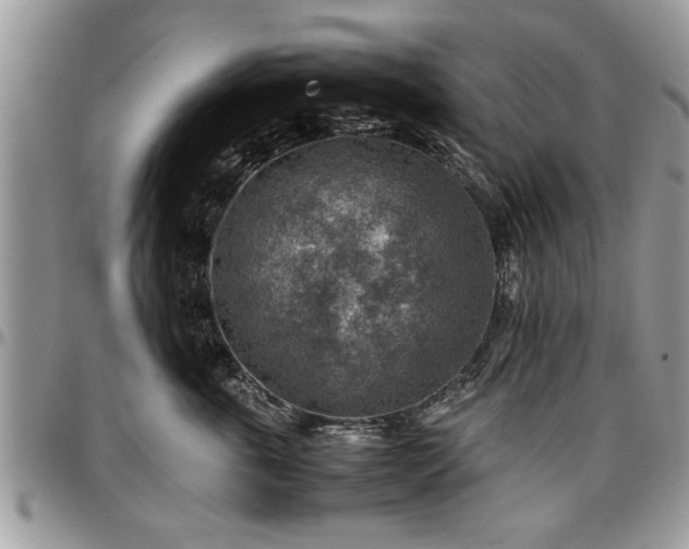 X0000096940763200802151215
