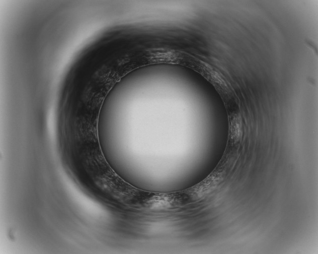 X0000096940764200802151215