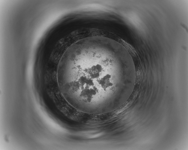 X0000096940765200802151215