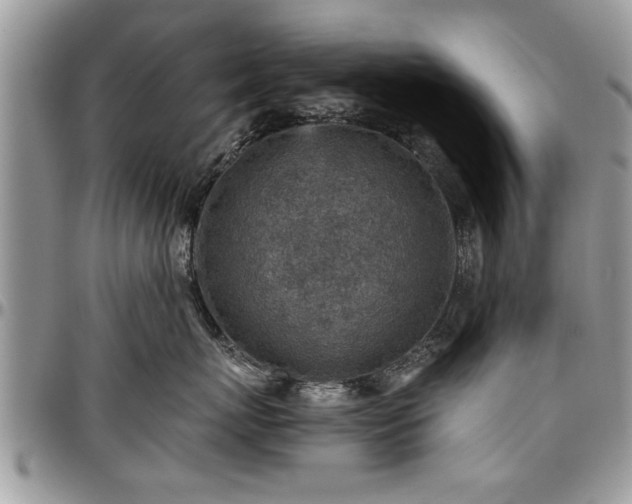 X0000096940767200802151215