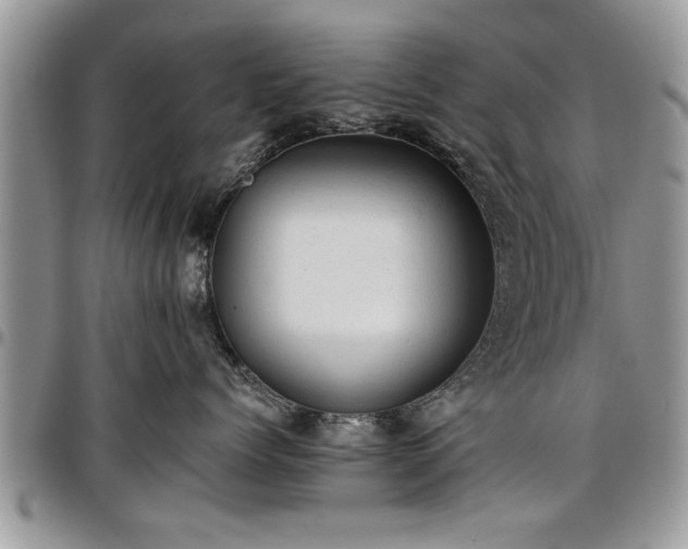 X0000096940768200802151215