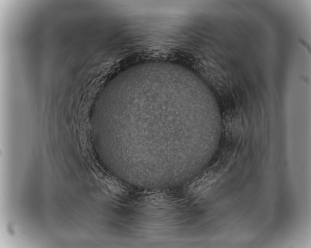 X0000096940769200802151214