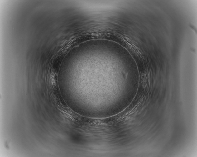 X0000096940770200802151214