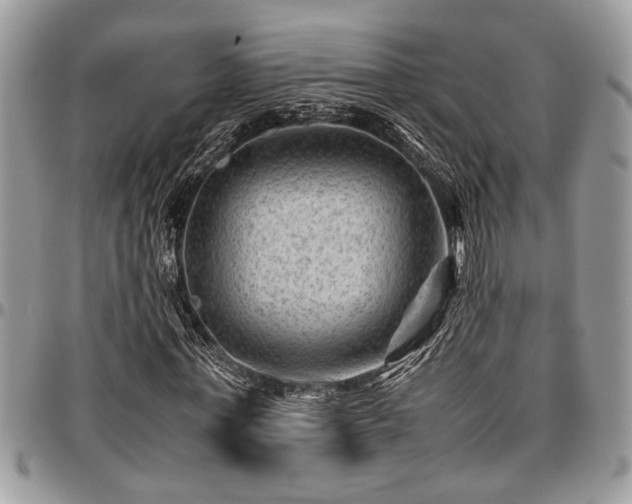 X0000096940771200802151214