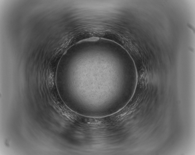 X0000096940772200802151214
