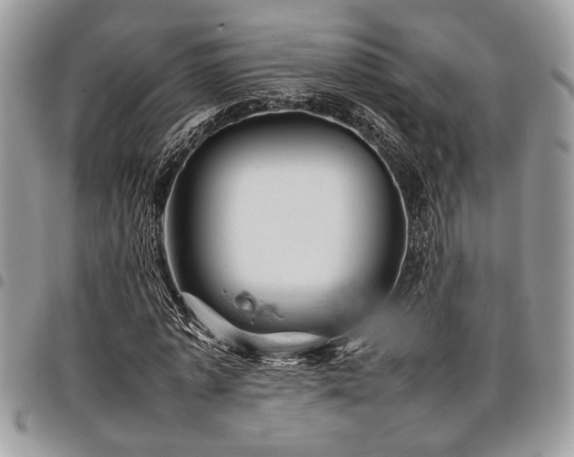 X0000096940773200802151214