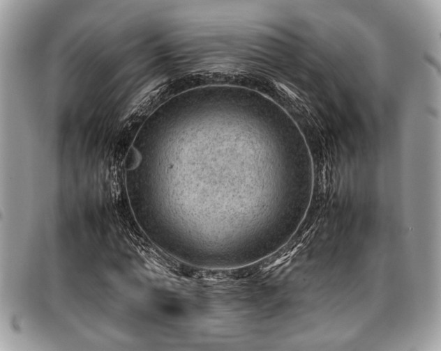 X0000096940774200802151214