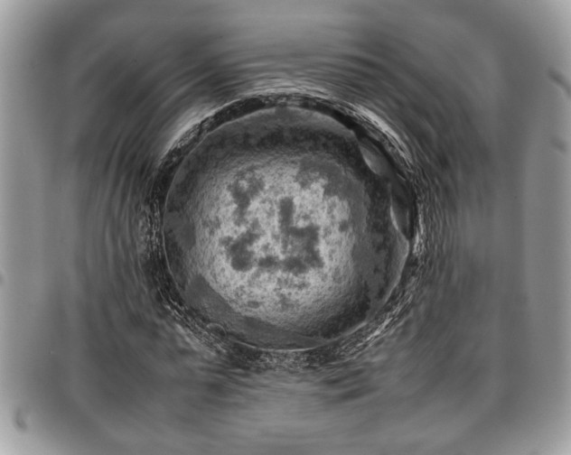 X0000096940775200802151214