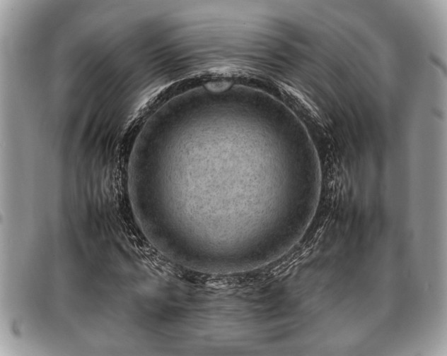 X0000096940776200802151214