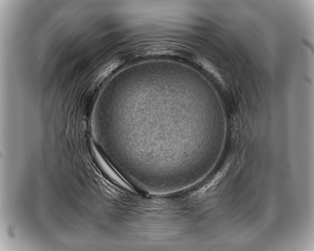 X0000096940777200802151214
