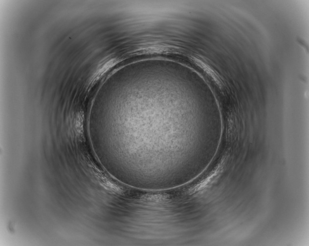 X0000096940778200802151214