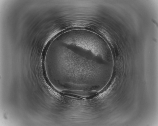 X0000096940779200802151214