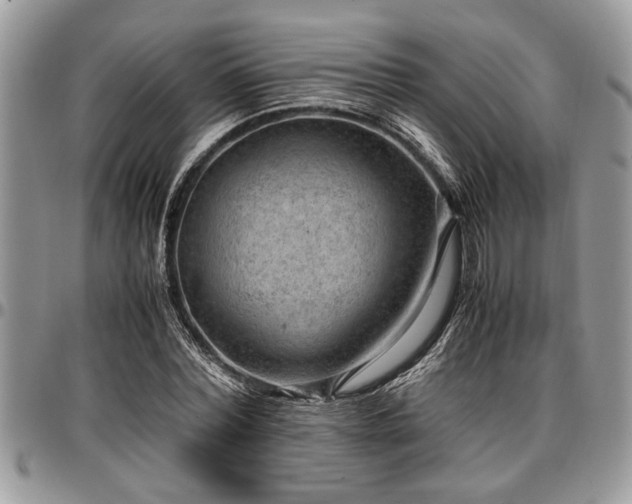X0000096940780200802151214