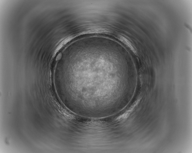 X0000096940781200802151214