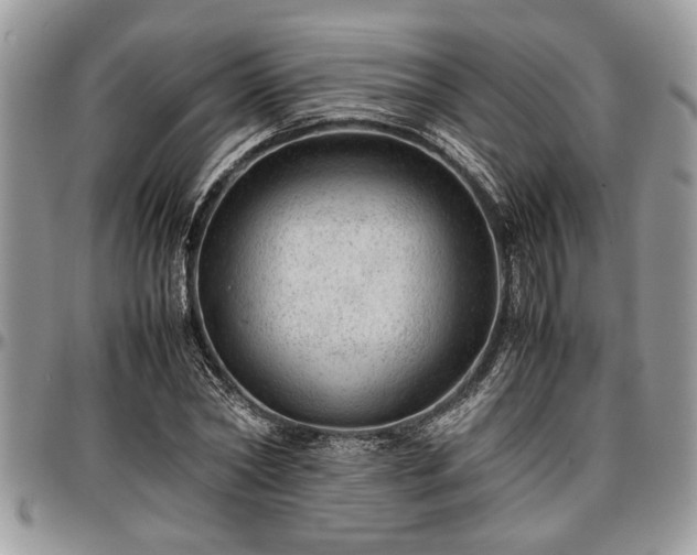 X0000096940782200802151214