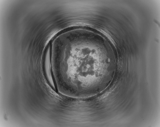 X0000096940783200802151214