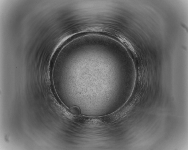X0000096940784200802151214