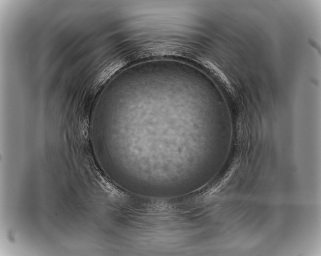 X0000096940785200802151214