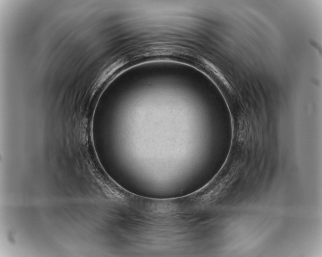 X0000096940786200802151214